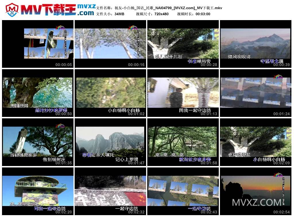 祝友-小白杨_国语_民歌_NAI04799